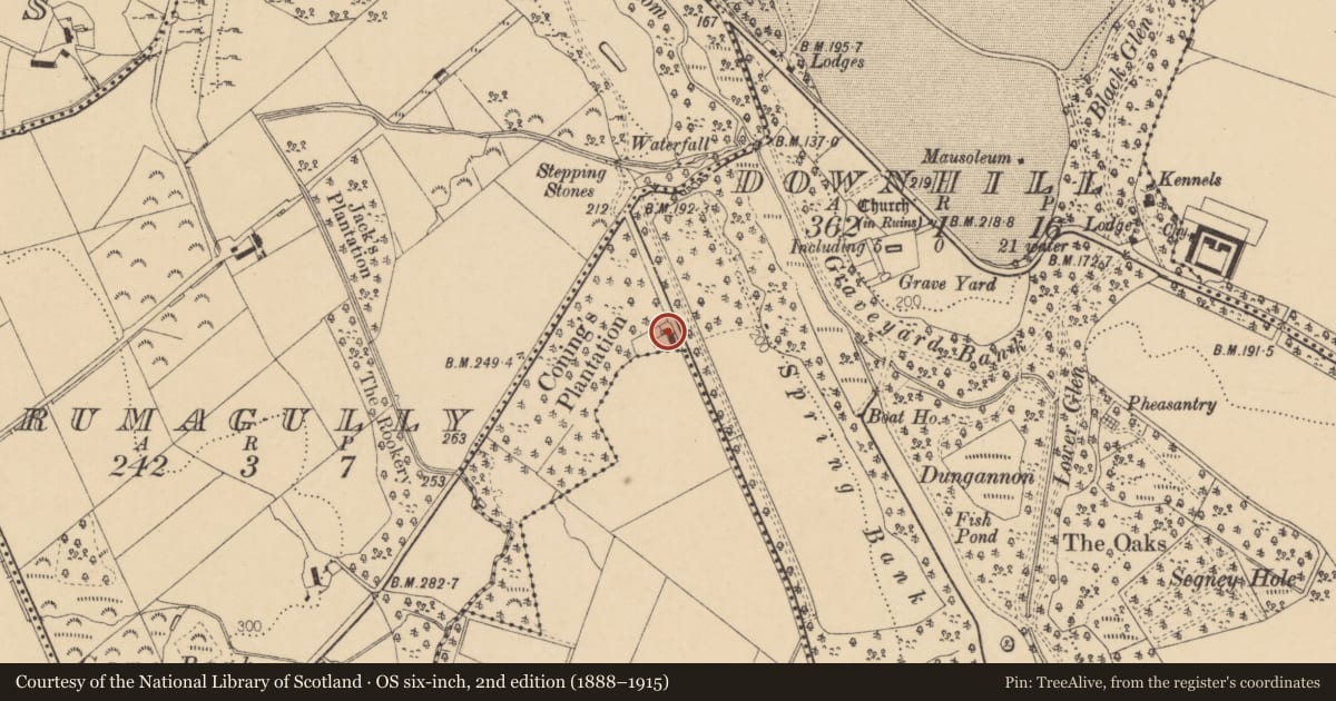 Ordnance Survey six-inch map, 2nd edition (1888–1915) covering the location of Woodland Cottage, Downhill, Causeway Coast and Glens, with a pin at the register's coordinates