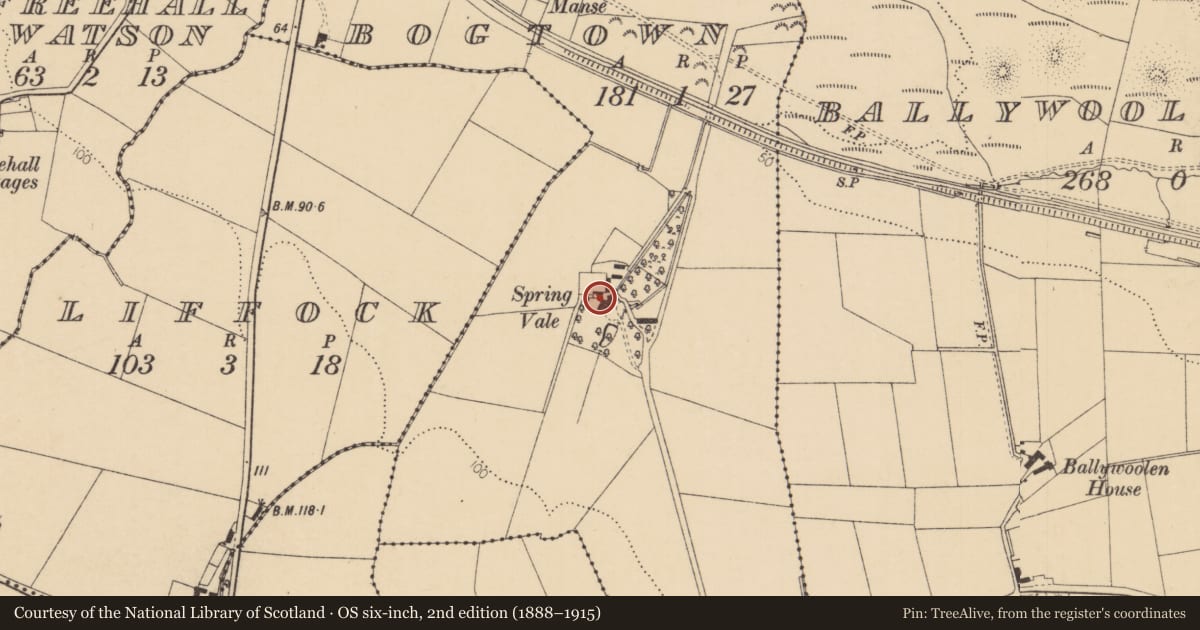 Ordnance Survey six-inch map, 2nd edition (1888–1915) covering the location of 30 Springvale Lane, Bogtown, Causeway Coast and Glens, with a pin at the register's coordinates