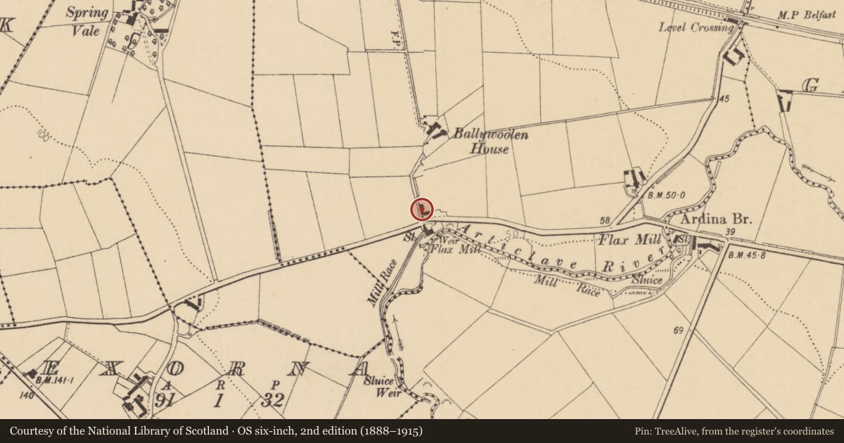 Ordnance Survey six-inch map, 2nd edition (1888–1915) covering the location of 39 Ballywoolen Road, Causeway Coast and Glens, with a pin at the register's coordinates