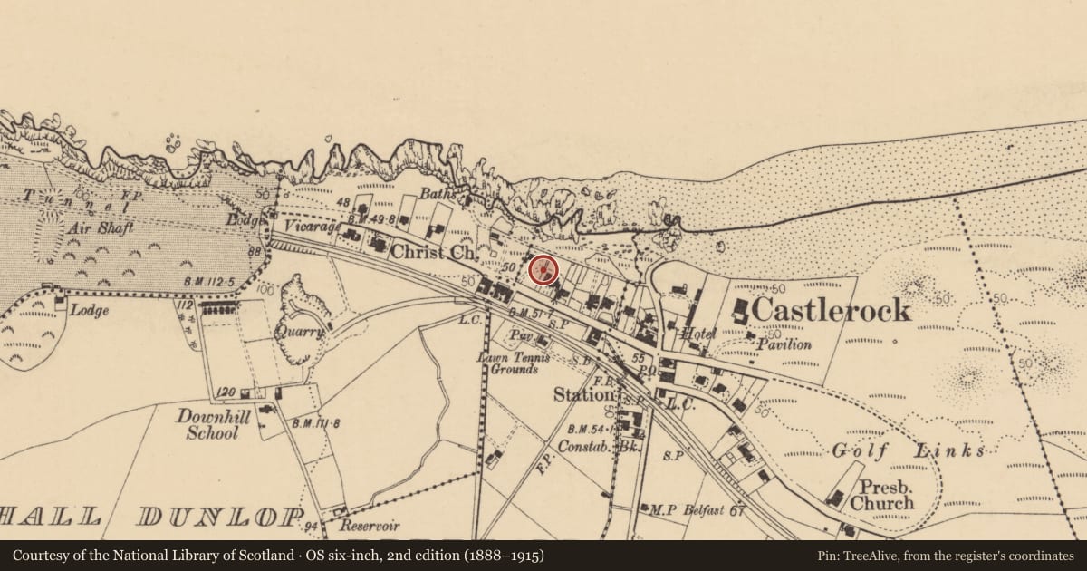 Ordnance Survey six-inch map, 2nd edition (1888–1915) covering the location of 31 Main Street, Freehall Watson, Causeway Coast and Glens, with a pin at the register's coordinates