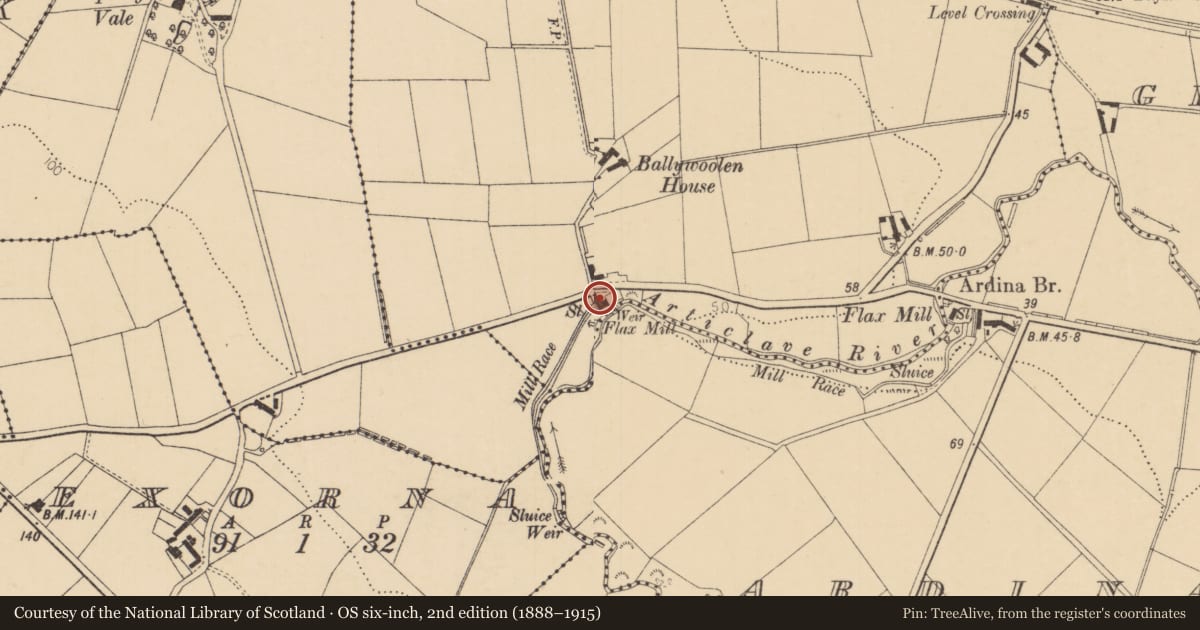 Ordnance Survey six-inch map, 2nd edition (1888–1915) covering the location of 39 Ballywoolen Road, Causeway Coast and Glens, with a pin at the register's coordinates