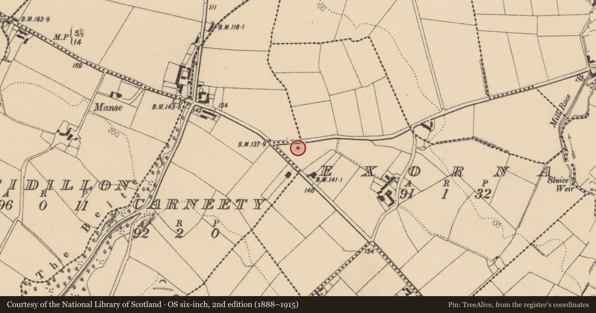 Ordnance Survey six-inch map, 2nd edition (1888–1915) covering the location of Hezlett Primary School, Causeway Coast and Glens, with a pin at the register's coordinates