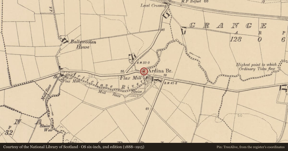 Ordnance Survey six-inch map, 2nd edition (1888–1915) covering the location of Ardina Bridge, Ardina/Ballywoolen, Causeway Coast and Glens, with a pin at the register's coordinates