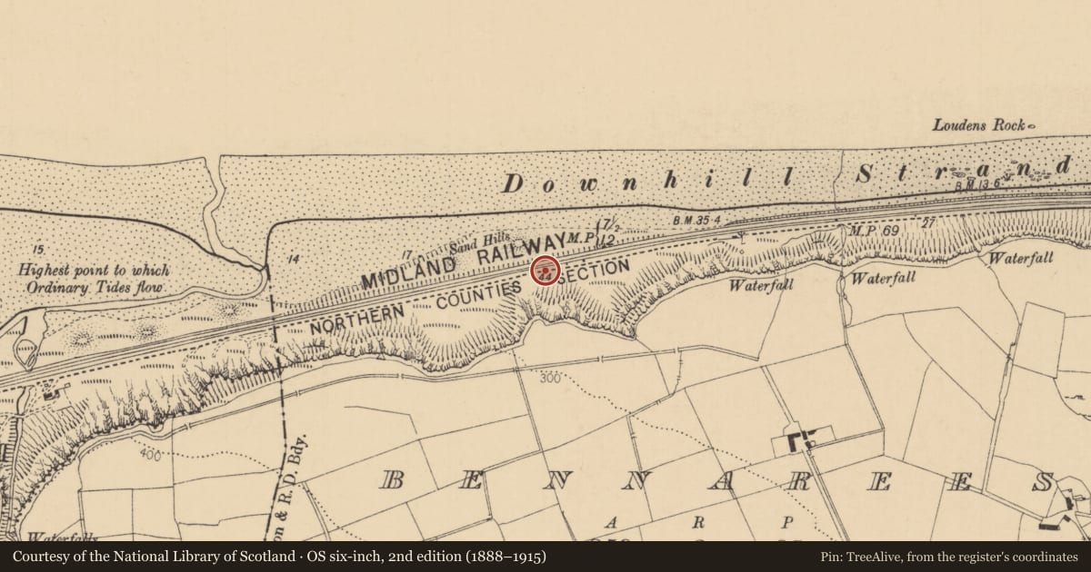 Ordnance Survey six-inch map, 2nd edition (1888–1915) covering the location of 794 Seacoast Road, Bennarees, Causeway Coast and Glens, with a pin at the register's coordinates