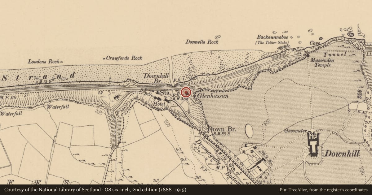 Ordnance Survey six-inch map, 2nd edition (1888–1915) covering the location of Downhill Hostel, Bennarees, Causeway Coast and Glens, with a pin at the register's coordinates