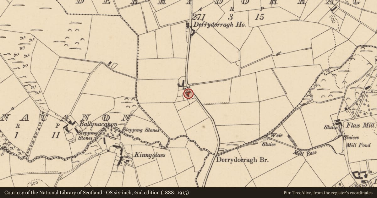 Ordnance Survey six-inch map, 2nd edition (1888–1915) covering the location of 69 Killeague Road, Derrydorragh, Causeway Coast and Glens, with a pin at the register's coordinates