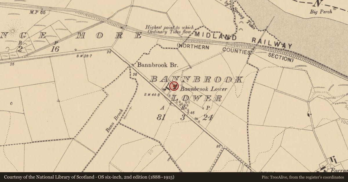 Ordnance Survey six-inch map, 2nd edition (1888–1915) covering the location of Bannbrook House, Bannbrook Lower, Causeway Coast and Glens, with a pin at the register's coordinates