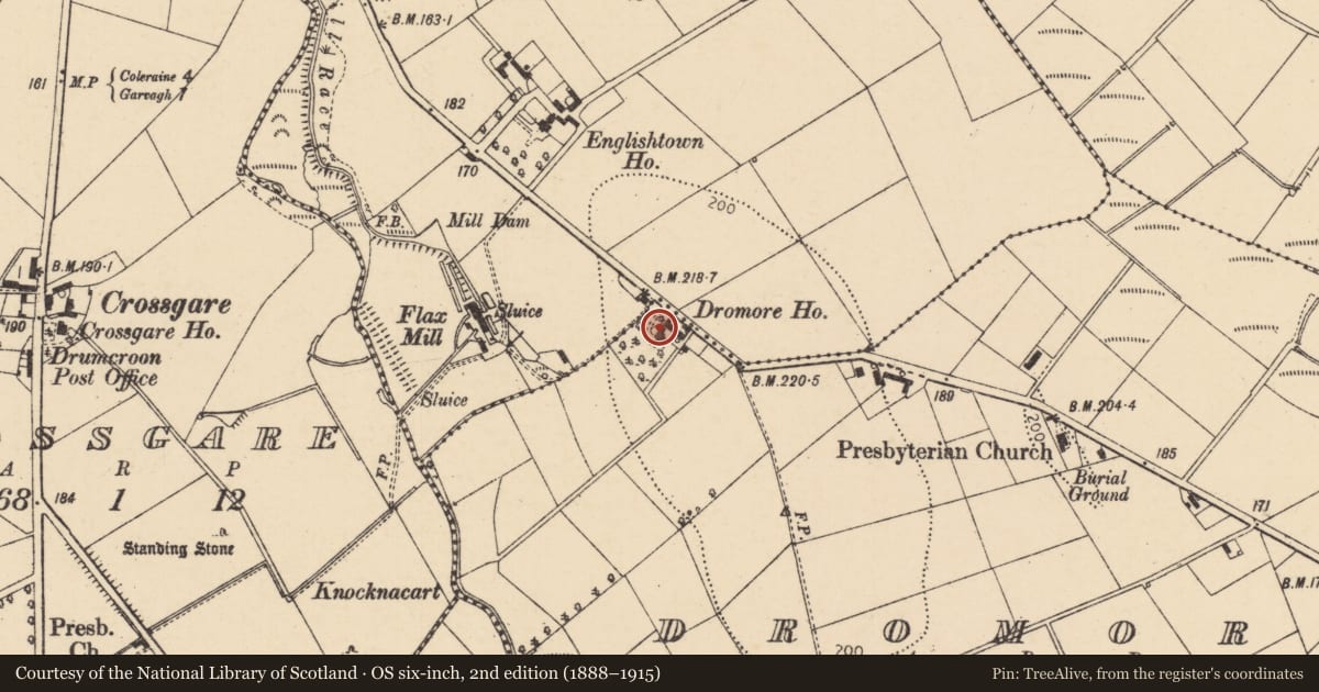 Ordnance Survey six-inch map, 2nd edition (1888–1915) covering the location of Dromore House, Causeway Coast and Glens, with a pin at the register's coordinates