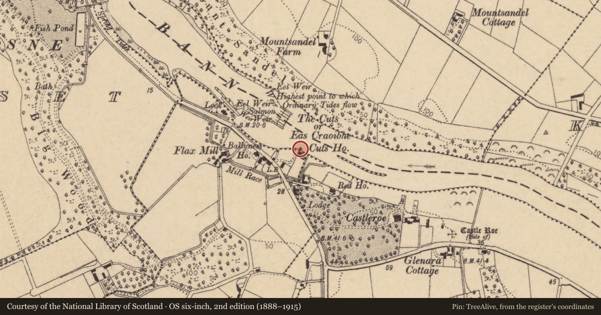 Ordnance Survey six-inch map, 2nd edition (1888–1915) covering the location of The Irish Society, Ballyness, Causeway Coast and Glens, with a pin at the register's coordinates
