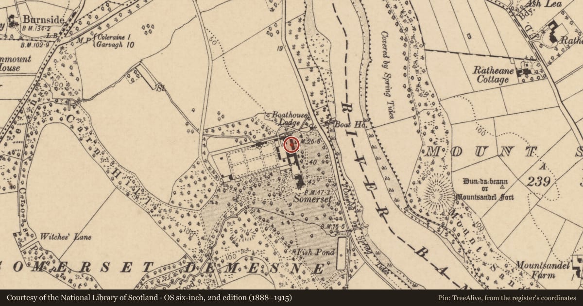 Ordnance Survey six-inch map, 2nd edition (1888–1915) covering the location of 1 - 14 Somerset Mews, Castlerow Road, Coleraine, Co. Londonderry, BT51 3RL, Causeway Coast and Glens, with a pin at the register's coordinates