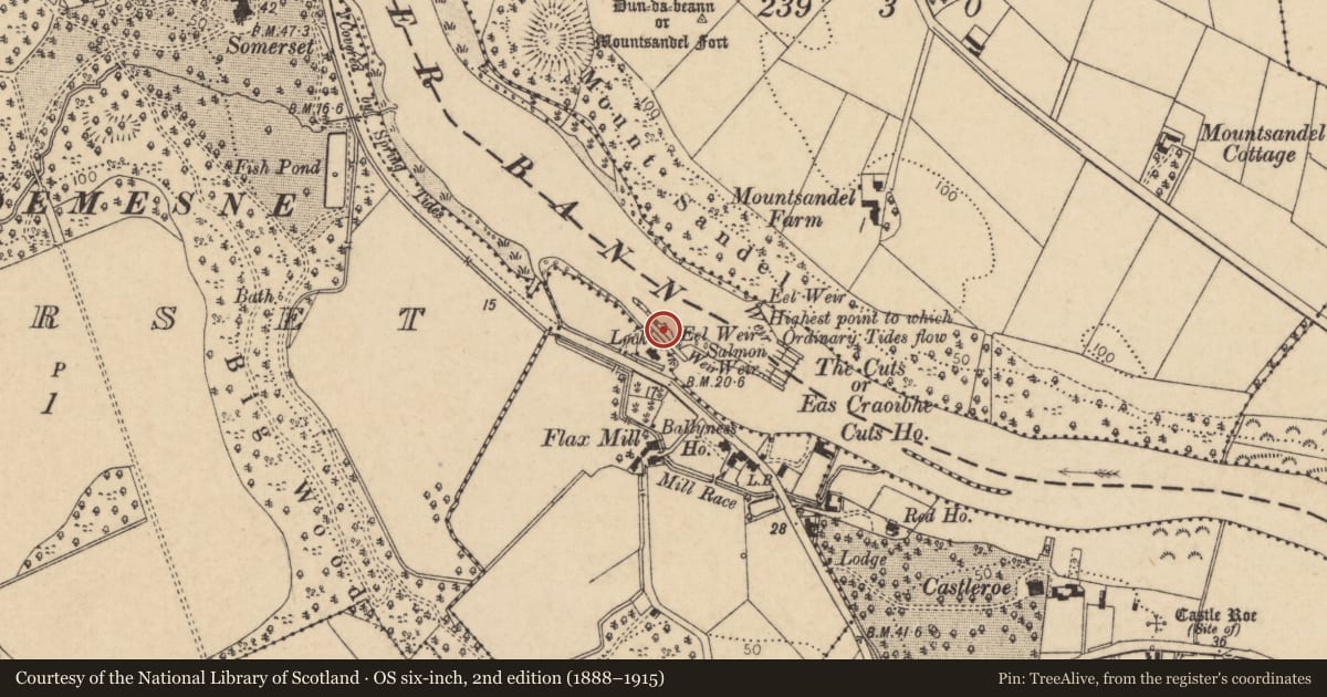 Ordnance Survey six-inch map, 2nd edition (1888–1915) covering the location of Navigation Lock, Ballyness, Causeway Coast and Glens, with a pin at the register's coordinates