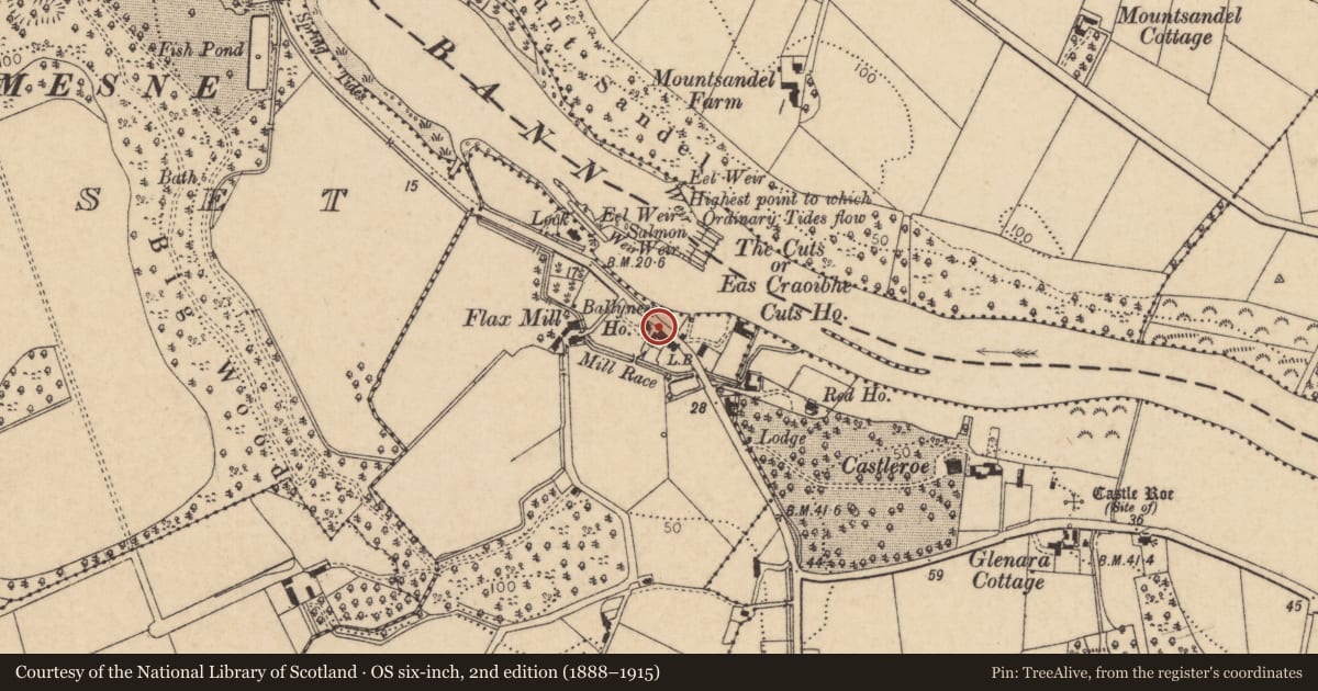 Ordnance Survey six-inch map, 2nd edition (1888–1915) covering the location of The Salmon Leap, Ballyness, Causeway Coast and Glens, with a pin at the register's coordinates