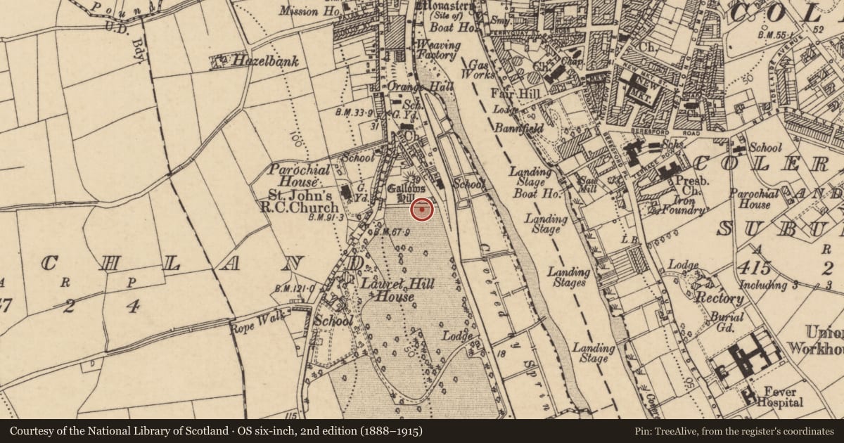 Ordnance Survey six-inch map, 2nd edition (1888–1915) covering the location of Killowen Primary School, Causeway Coast and Glens, with a pin at the register's coordinates