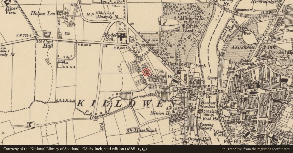 Ordnance Survey six-inch map, 2nd edition (1888–1915) covering the location of 1-13 Captain Street Upper, Causeway Coast and Glens, with a pin at the register's coordinates
