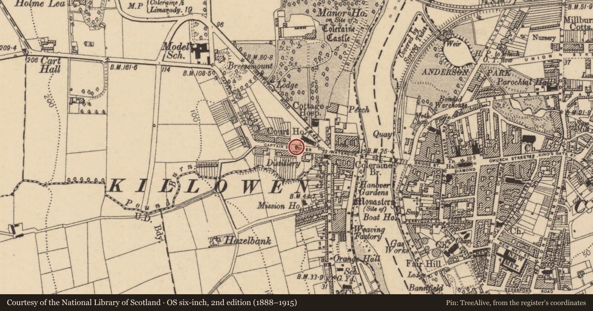 Ordnance Survey six-inch map, 2nd edition (1888–1915) covering the location of Water Fountain, Coleraine and Suburbs, Causeway Coast and Glens, with a pin at the register's coordinates