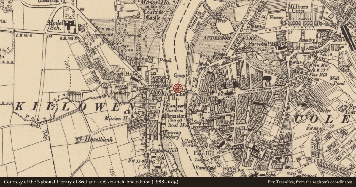 Ordnance Survey six-inch map, 2nd edition (1888–1915) covering the location of Bann Bridge, Causeway Coast and Glens, with a pin at the register's coordinates