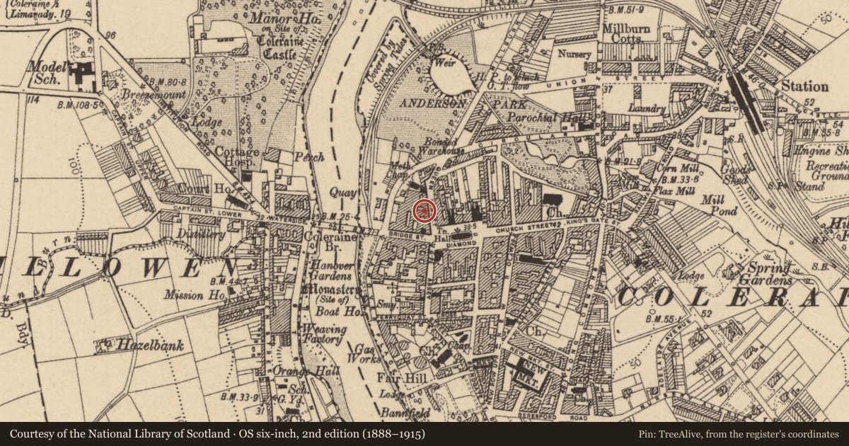 Ordnance Survey six-inch map, 2nd edition (1888–1915) covering the location of 6 Queen Street, Coleraine, Causeway Coast and Glens, with a pin at the register's coordinates