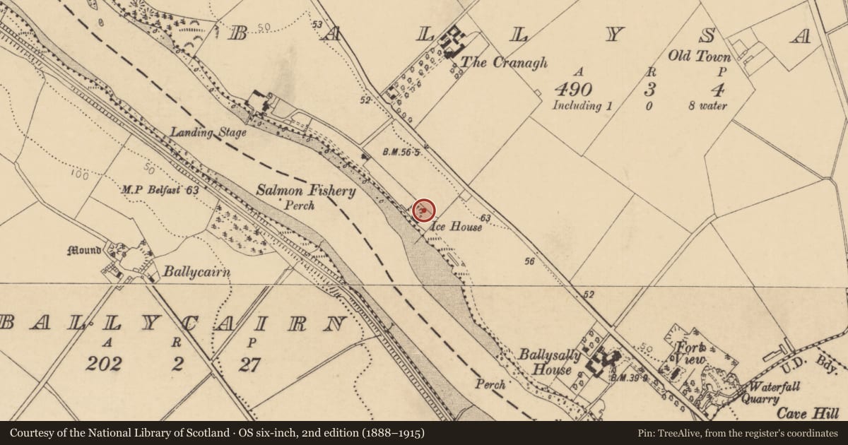Ordnance Survey six-inch map, 2nd edition (1888–1915) covering the location of Ice House, Causeway Coast and Glens, with a pin at the register's coordinates