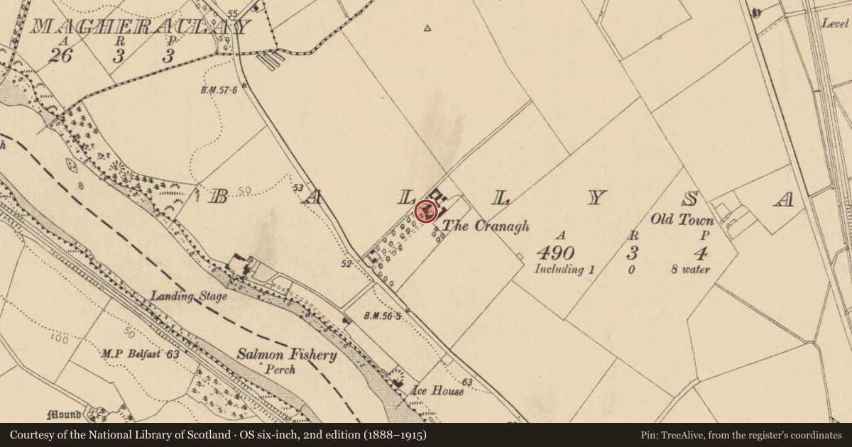 Ordnance Survey six-inch map, 2nd edition (1888–1915) covering the location of The Cranagh, Causeway Coast and Glens, with a pin at the register's coordinates