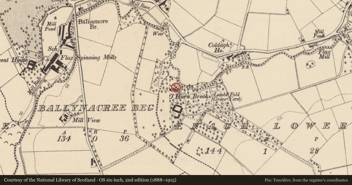 Ordnance Survey six-inch map, 2nd edition (1888–1915) covering the location of O'Hara Brook, Causeway Coast and Glens, with a pin at the register's coordinates