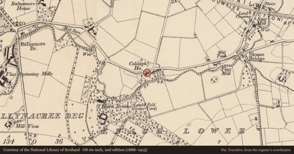 Ordnance Survey six-inch map, 2nd edition (1888–1915) covering the location of Coldagh House, Causeway Coast and Glens, with a pin at the register's coordinates