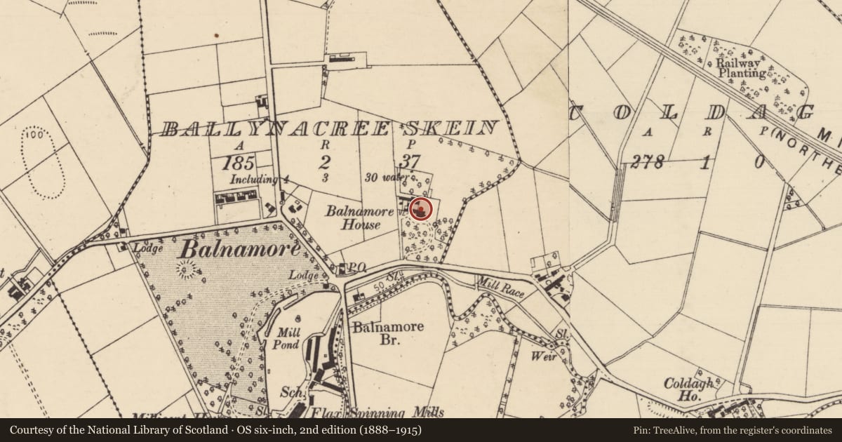 Ordnance Survey six-inch map, 2nd edition (1888–1915) covering the location of Balnamore House, Causeway Coast and Glens, with a pin at the register's coordinates
