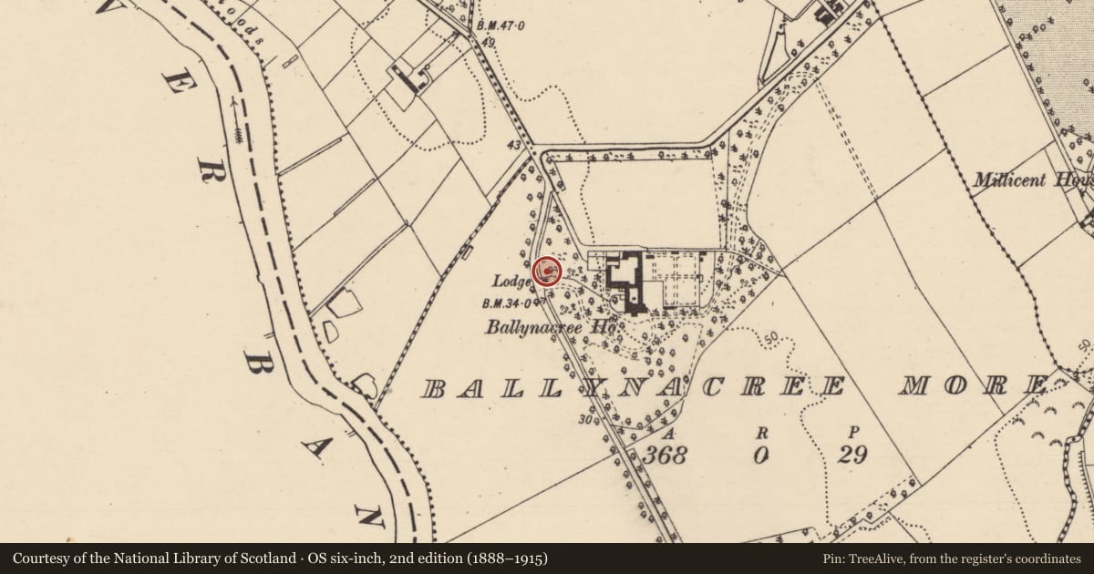 Ordnance Survey six-inch map, 2nd edition (1888–1915) covering the location of Ballynacree Lodge, Causeway Coast and Glens, with a pin at the register's coordinates