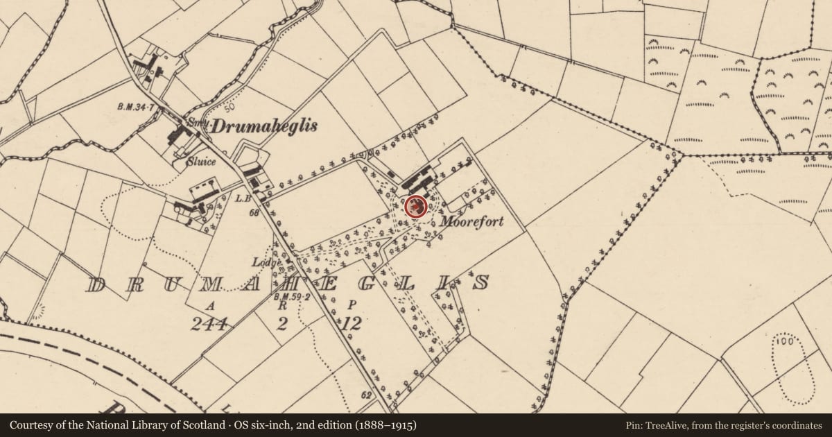 Ordnance Survey six-inch map, 2nd edition (1888–1915) covering the location of MOOREFORT, Causeway Coast and Glens, with a pin at the register's coordinates