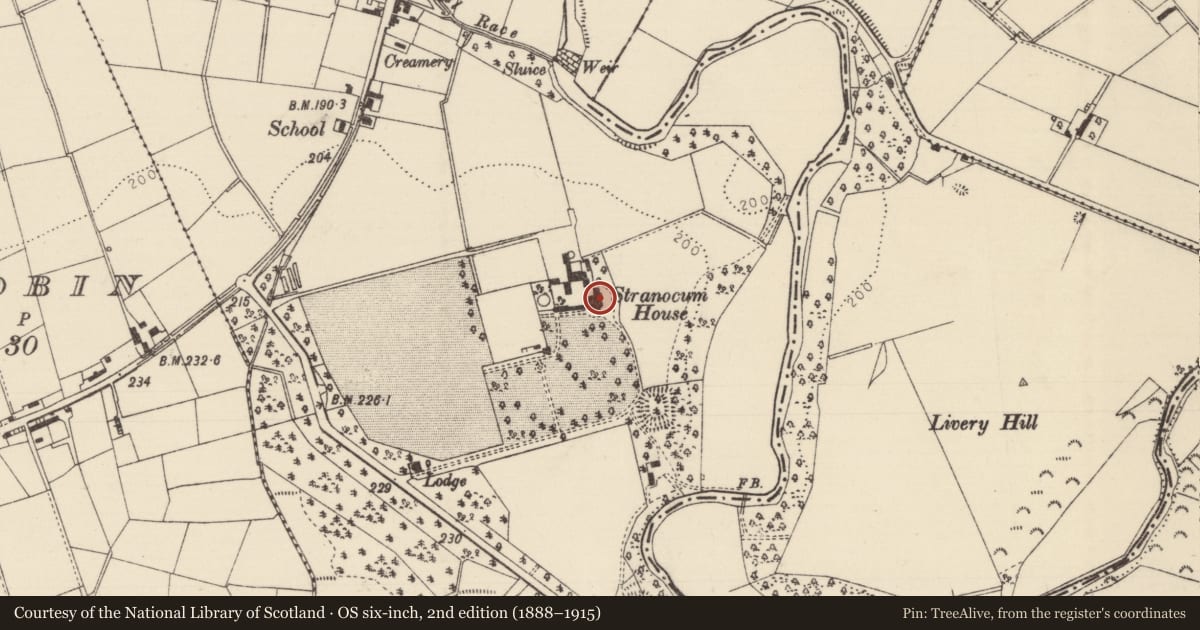 Ordnance Survey six-inch map, 2nd edition (1888–1915) covering the location of Stranocum House, Causeway Coast and Glens, with a pin at the register's coordinates