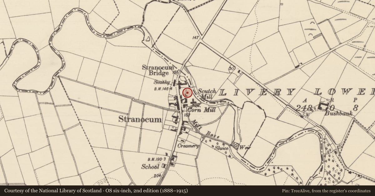 Ordnance Survey six-inch map, 2nd edition (1888–1915) covering the location of 69 Main St., Causeway Coast and Glens, with a pin at the register's coordinates