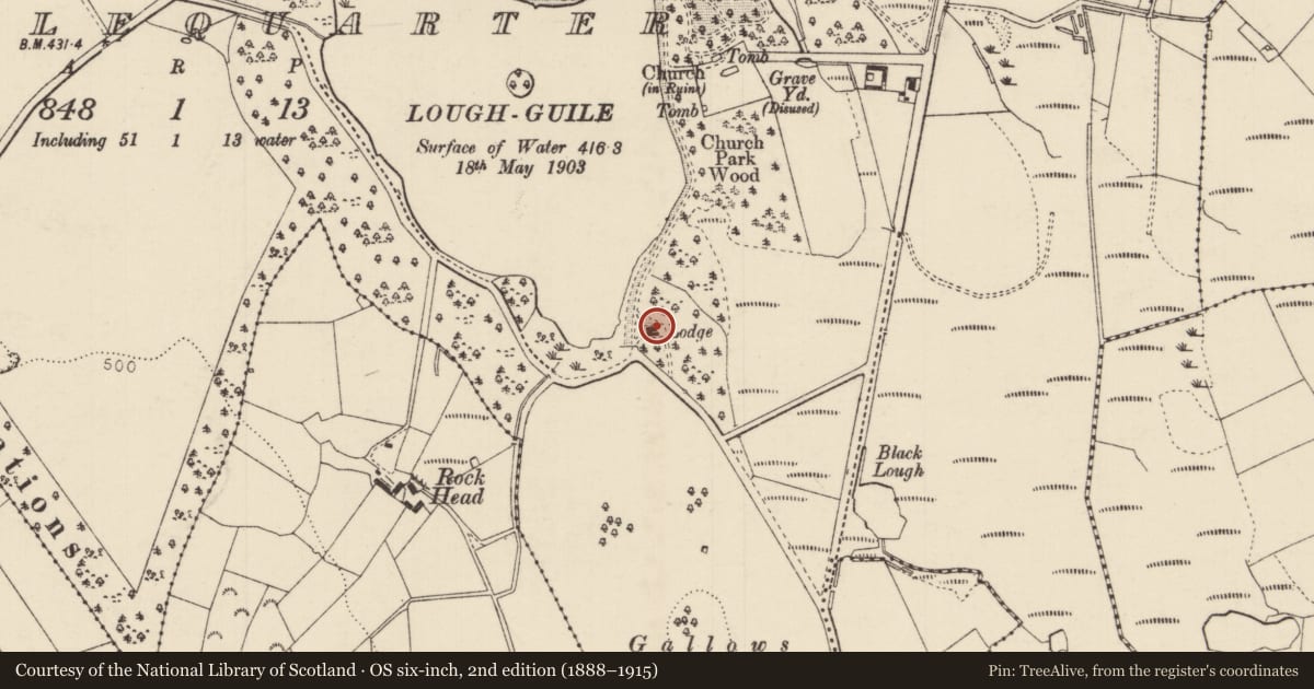 Ordnance Survey six-inch map, 2nd edition (1888–1915) covering the location of The Gate Lodge, Causeway Coast and Glens, with a pin at the register's coordinates