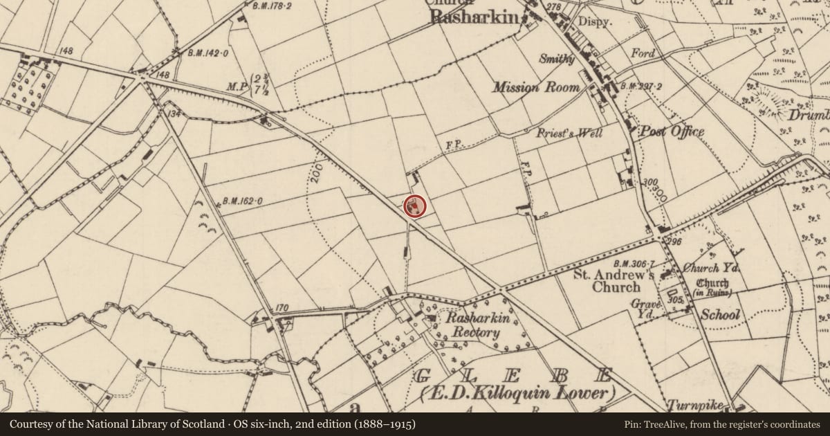 Ordnance Survey six-inch map, 2nd edition (1888–1915) covering the location of Carfinton Cottage, Causeway Coast and Glens, with a pin at the register's coordinates