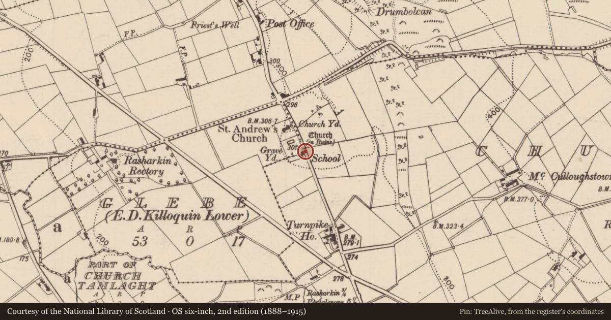 Ordnance Survey six-inch map, 2nd edition (1888–1915) covering the location of Hall adjacent to St Andrew's COI and 35 Church Rd, Glebe (Rasharkin), Causeway Coast and Glens, with a pin at the register's coordinates