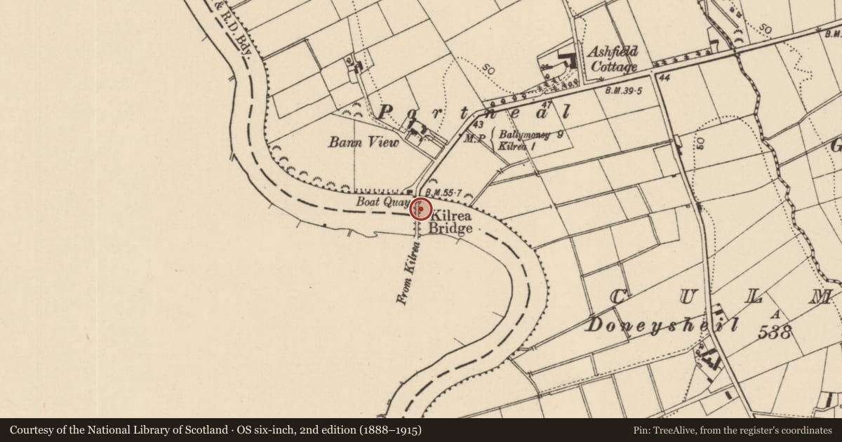 Ordnance Survey six-inch map, 2nd edition (1888–1915) covering the location of Kilrea Bridge, Causeway Coast and Glens, with a pin at the register's coordinates