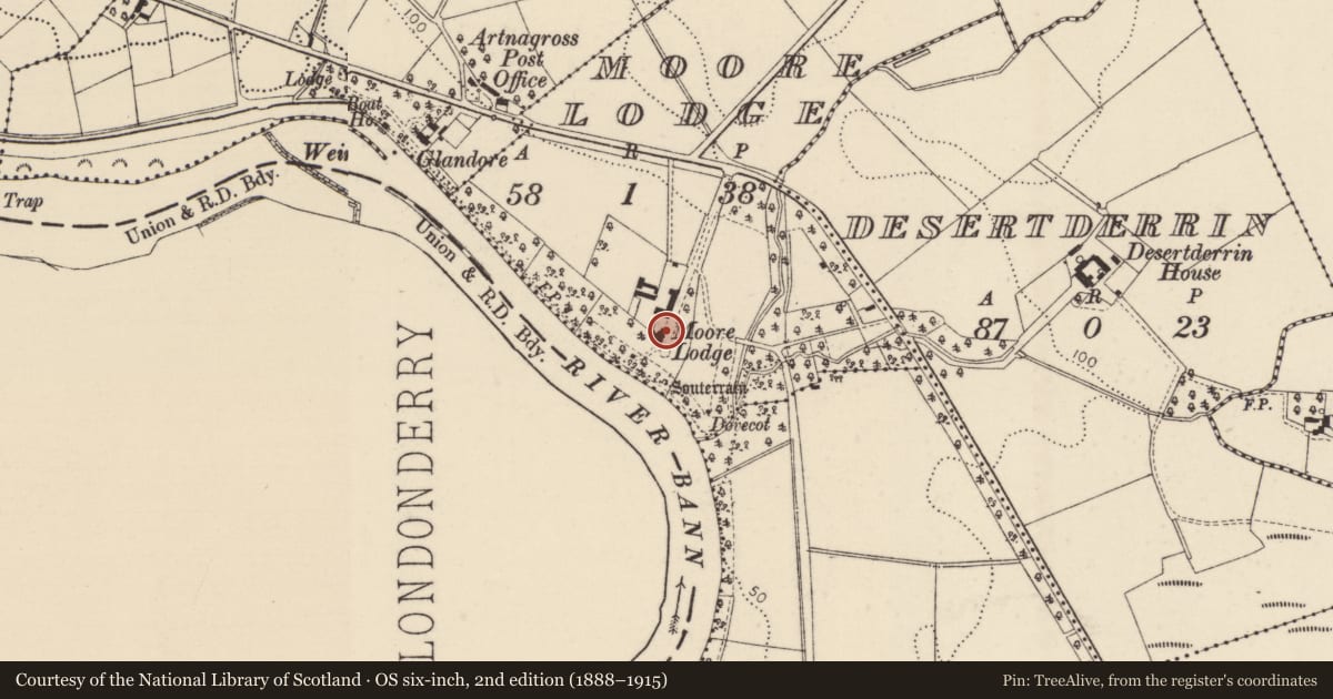 Ordnance Survey six-inch map, 2nd edition (1888–1915) covering the location of Moore Lodge, Causeway Coast and Glens, with a pin at the register's coordinates