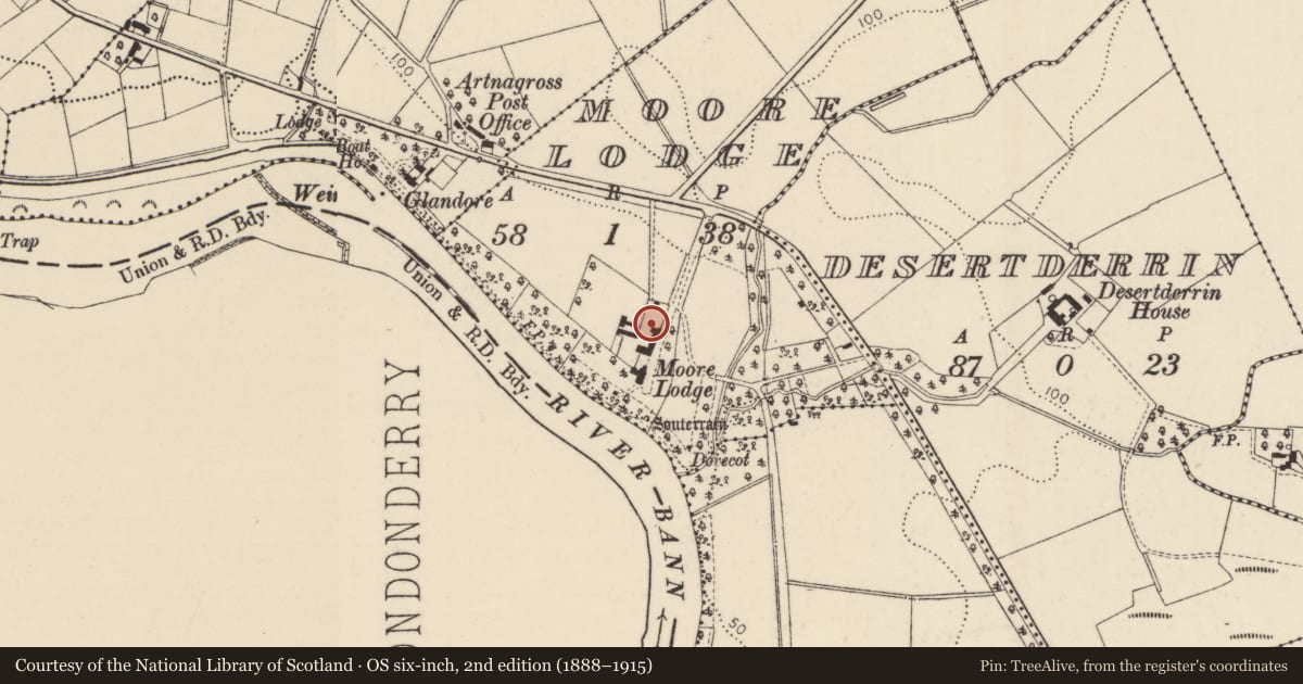 Ordnance Survey six-inch map, 2nd edition (1888–1915) covering the location of Outbuildings at Moore Lodge, Causeway Coast and Glens, with a pin at the register's coordinates