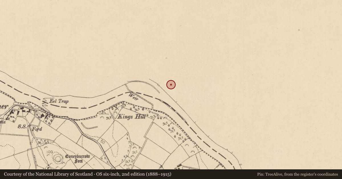 Ordnance Survey six-inch map, 2nd edition (1888–1915) covering the location of GLANDORE, Causeway Coast and Glens, with a pin at the register's coordinates