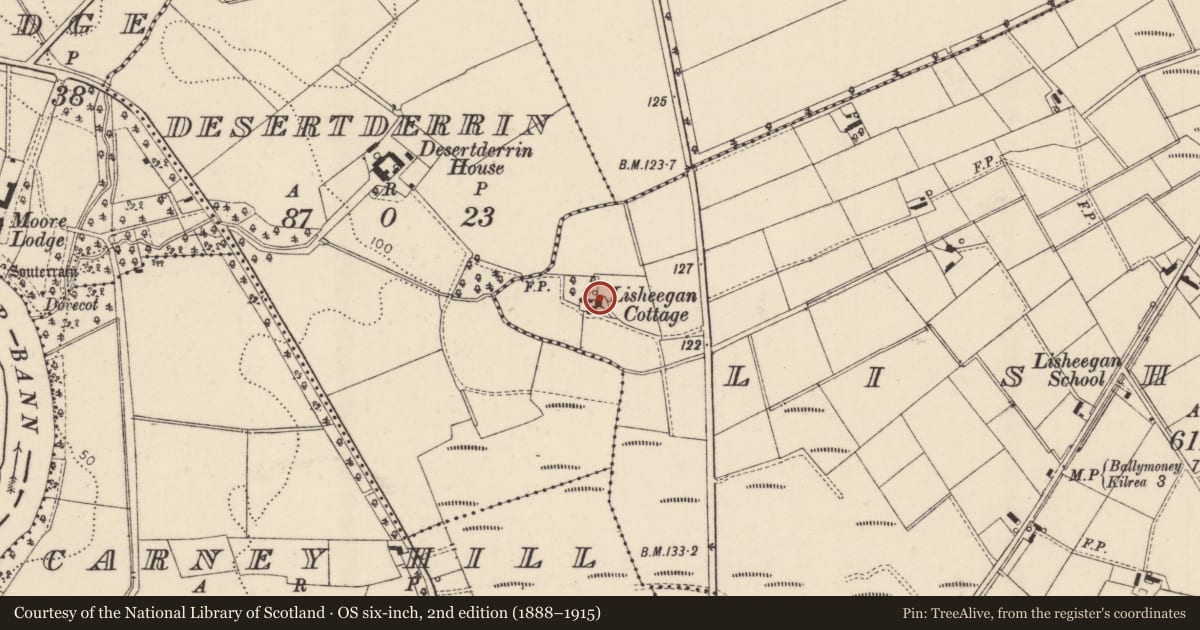 Ordnance Survey six-inch map, 2nd edition (1888–1915) covering the location of Lisheegan Cottage, Causeway Coast and Glens, with a pin at the register's coordinates