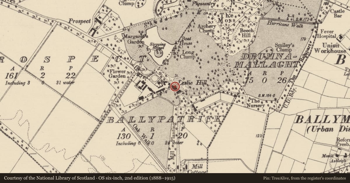 Ordnance Survey six-inch map, 2nd edition (1888–1915) covering the location of Leslie Hill, Causeway Coast and Glens, with a pin at the register's coordinates