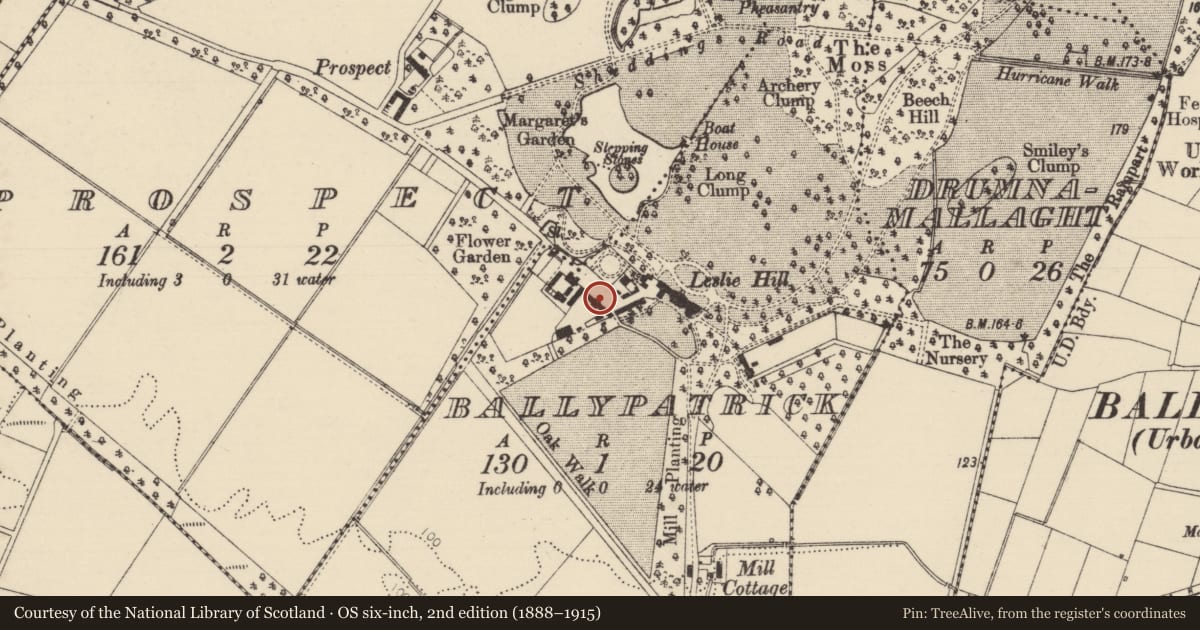 Ordnance Survey six-inch map, 2nd edition (1888–1915) covering the location of BALLYPATRICK, Causeway Coast and Glens, with a pin at the register's coordinates