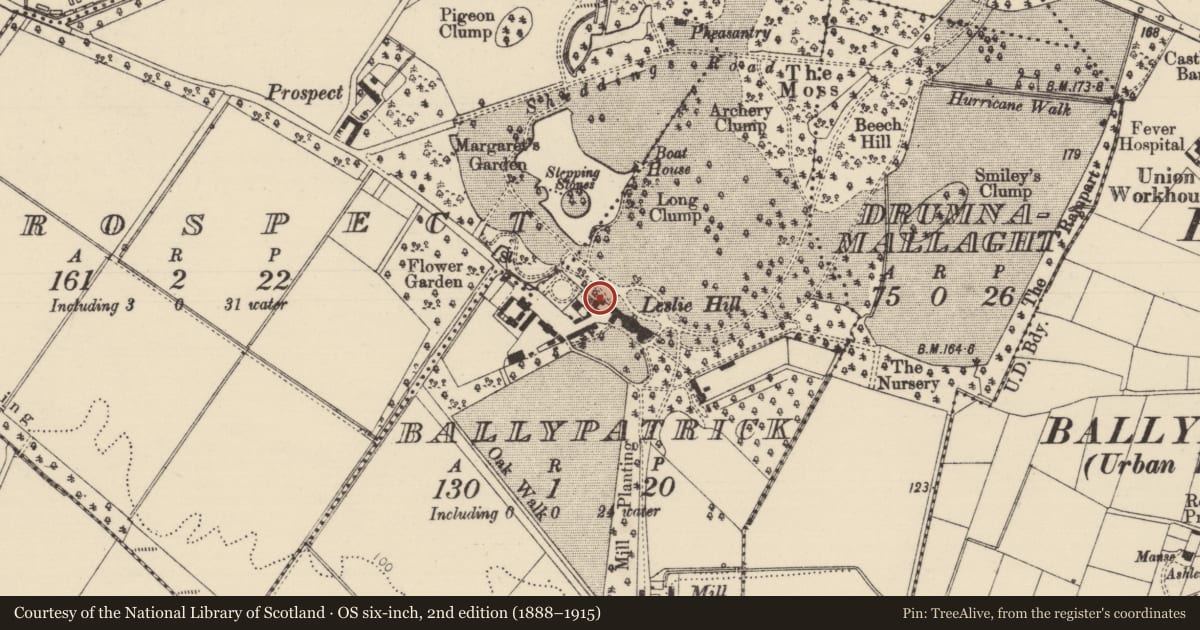 Ordnance Survey six-inch map, 2nd edition (1888–1915) covering the location of Leslie Hill, Causeway Coast and Glens, with a pin at the register's coordinates
