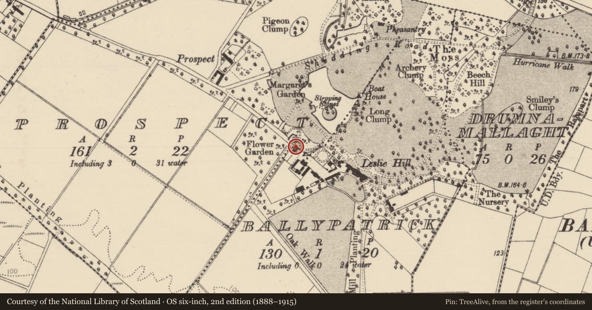 Ordnance Survey six-inch map, 2nd edition (1888–1915) covering the location of Pay Office, Gate Lodge, Causeway Coast and Glens, with a pin at the register's coordinates