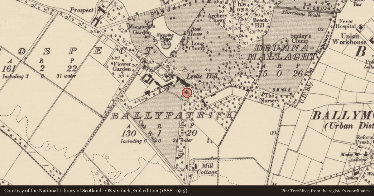Ordnance Survey six-inch map, 2nd edition (1888–1915) covering the location of Leslie Hill, with a pin at the register's coordinates