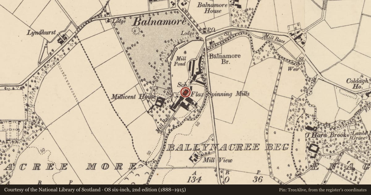 Ordnance Survey six-inch map, 2nd edition (1888–1915) covering the location of Balnamore Mill, Ballynacree Skein, Causeway Coast and Glens, with a pin at the register's coordinates