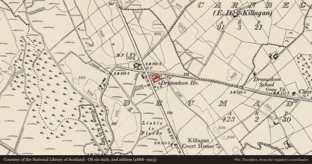 Ordnance Survey six-inch map, 2nd edition (1888–1915) covering the location of Drumadoon House, Causeway Coast and Glens, with a pin at the register's coordinates