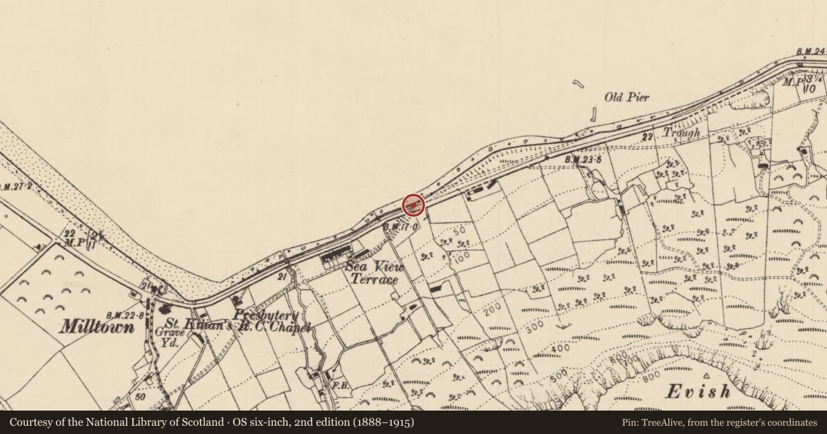 Ordnance Survey six-inch map, 2nd edition (1888–1915) covering the location of White Arch, Carrivemurphy, Causeway Coast and Glens, with a pin at the register's coordinates
