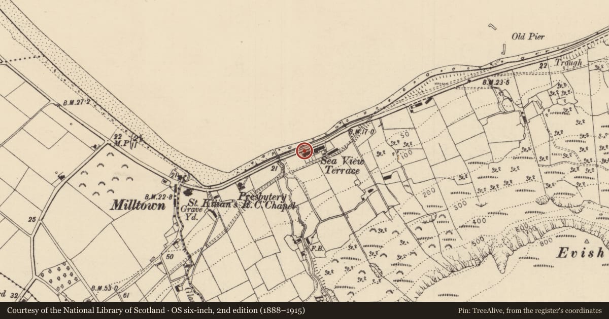 Ordnance Survey six-inch map, 2nd edition (1888–1915) covering the location of 1 Seaview Terrace, Carrivemurphy, Causeway Coast and Glens, with a pin at the register's coordinates