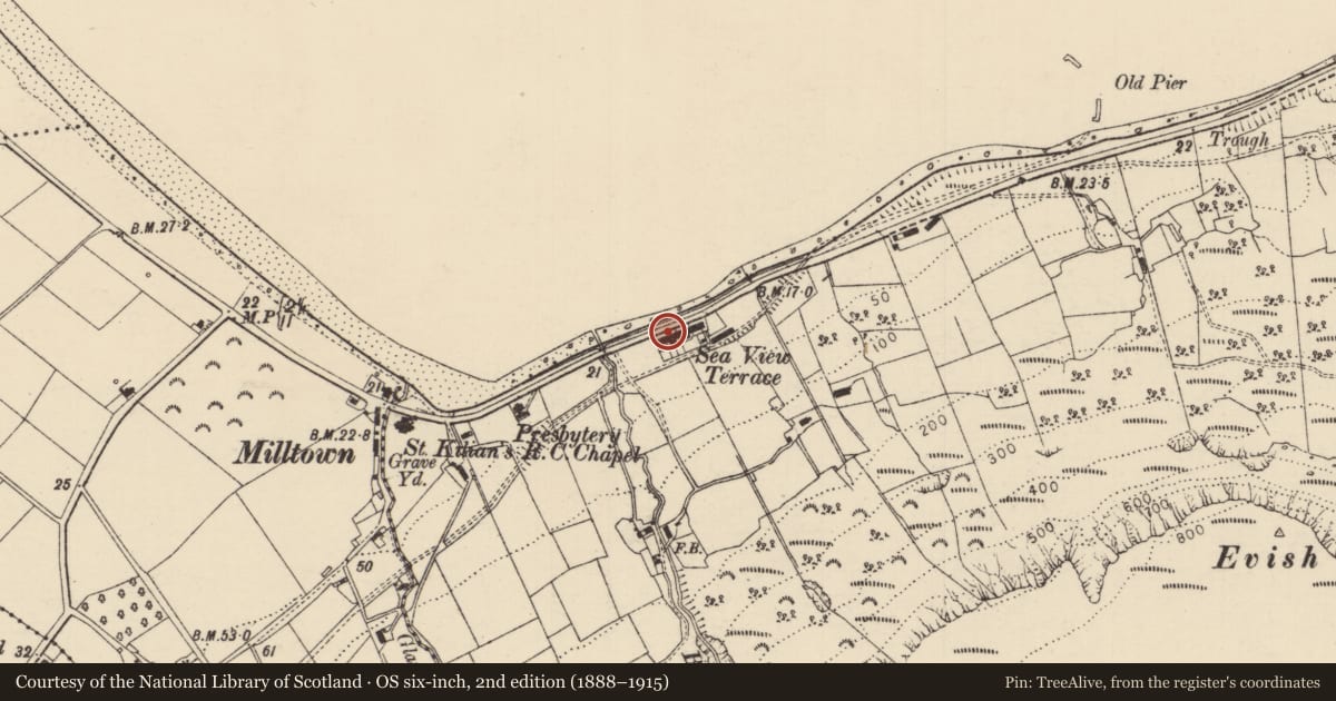 Ordnance Survey six-inch map, 2nd edition (1888–1915) covering the location of 2 Seaview Terrace, Carrivemurphy, Causeway Coast and Glens, with a pin at the register's coordinates