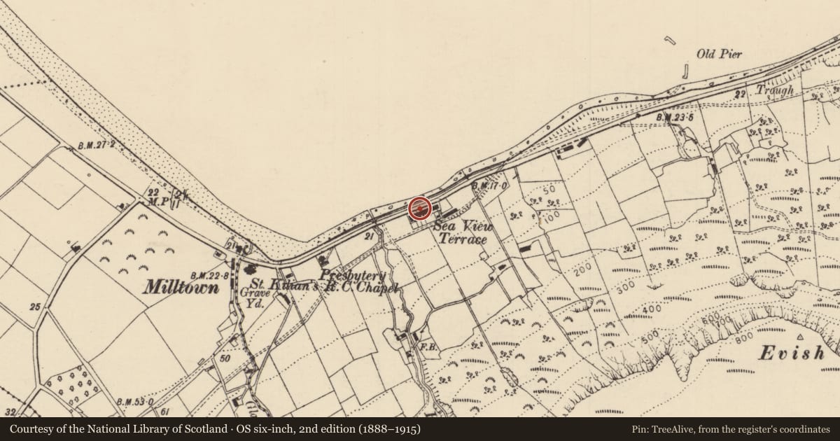 Ordnance Survey six-inch map, 2nd edition (1888–1915) covering the location of 3 Seaview Terrace, Carrivemurphy, Causeway Coast and Glens, with a pin at the register's coordinates