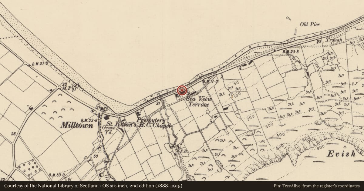 Ordnance Survey six-inch map, 2nd edition (1888–1915) covering the location of 4 Seaview Terrace, Carrivemurphy, Causeway Coast and Glens, with a pin at the register's coordinates
